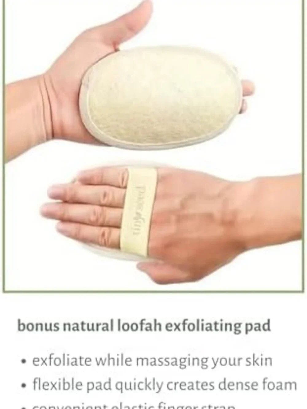 Moisturizing Shea Body Wash 2-Pack with Loofah Scrubber - Nourishing Cleanser